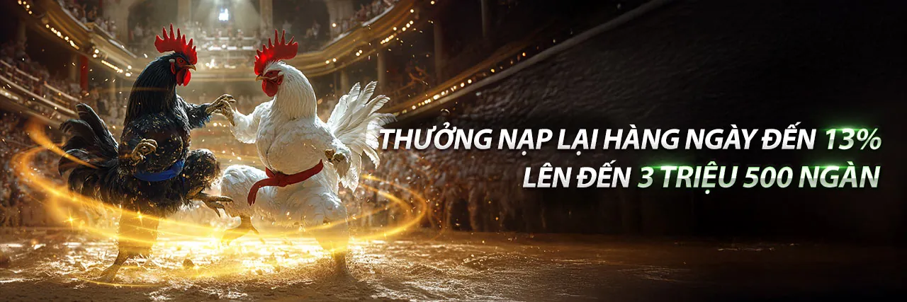 Banner khuyến mãi đá gà 6789